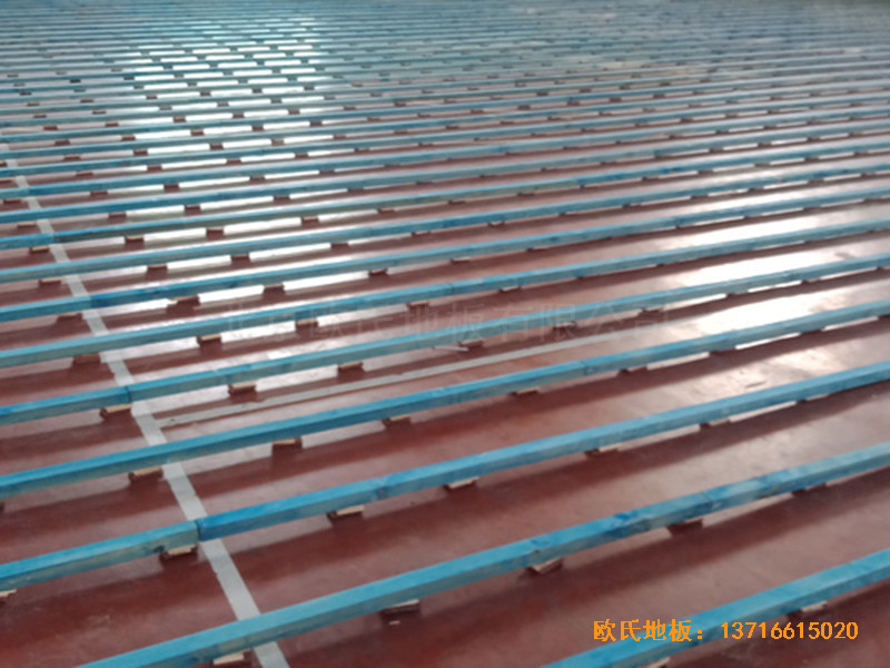 �ӱ������w���W(xu��)���@���^�w��ľ�ذ���O(sh��)����1