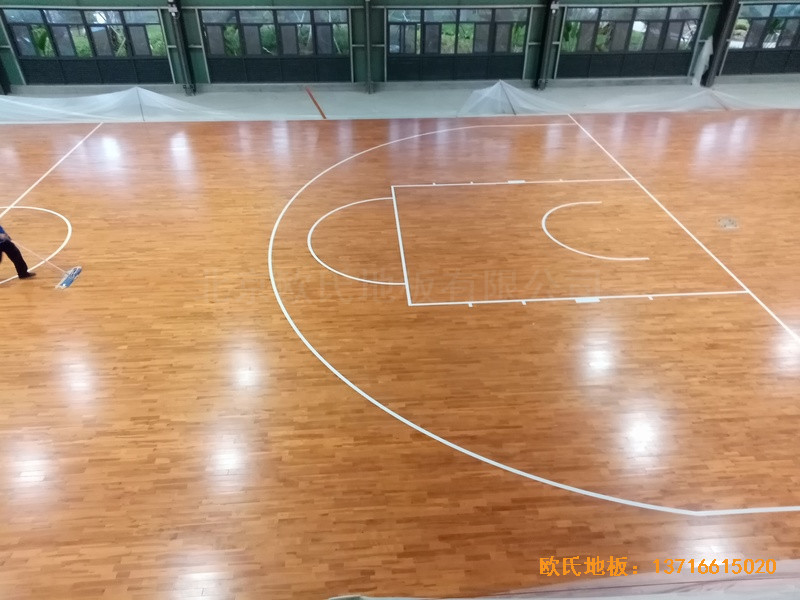 ��������619�ĿӖ(x��n)���^�\��ľ�ذ���b����4