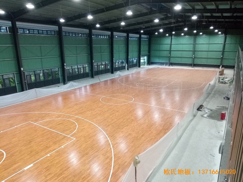 ��������619�ĿӖ(x��n)���^�\��ľ�ذ���b����5