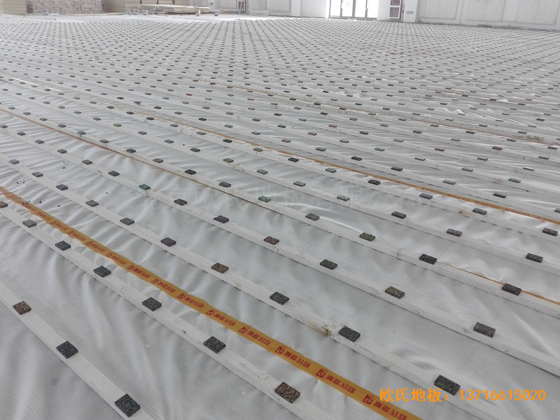 �y�������ЌW(xu��)�@���^�w���ذ尲�b����1