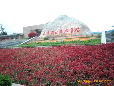 ��������I(y��)���g(sh��)�WԺ�@���^�\�ӵذ尲�b����