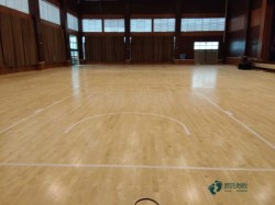 ��(gu��)��(bi��o)�\(y��n)��(d��ng)�w��ľ�ذ�S�҈�(b��o)�r(ji��)