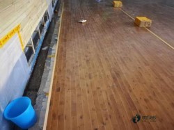 ���Ռ������_�\(y��n)����ľ�ذ��^�õ�