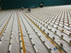 �@���^ľ�ذ�r���Ƕ���