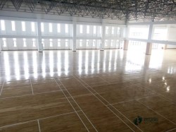 ��ľ���_(t��i)��(ch��ng)�^�ذ���Щ���Ӻ�