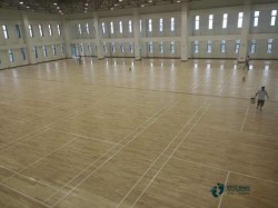 �����\(y��n)��ľ�ذ�h(hu��n)��