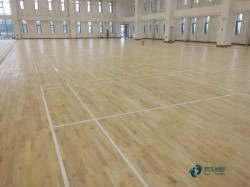 �߶˻@���\��ľ�ذ���ô���B(y��ng)