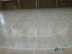 �����w���\(y��n)��ľ�ذ屣��