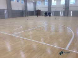 籃球場木地板報價