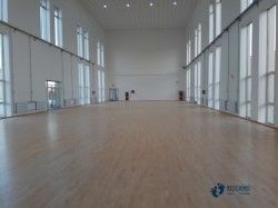 專業(yè)籃球場館木地板施工團(tuán)隊