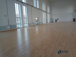 籃球場地木地板網(wǎng)址